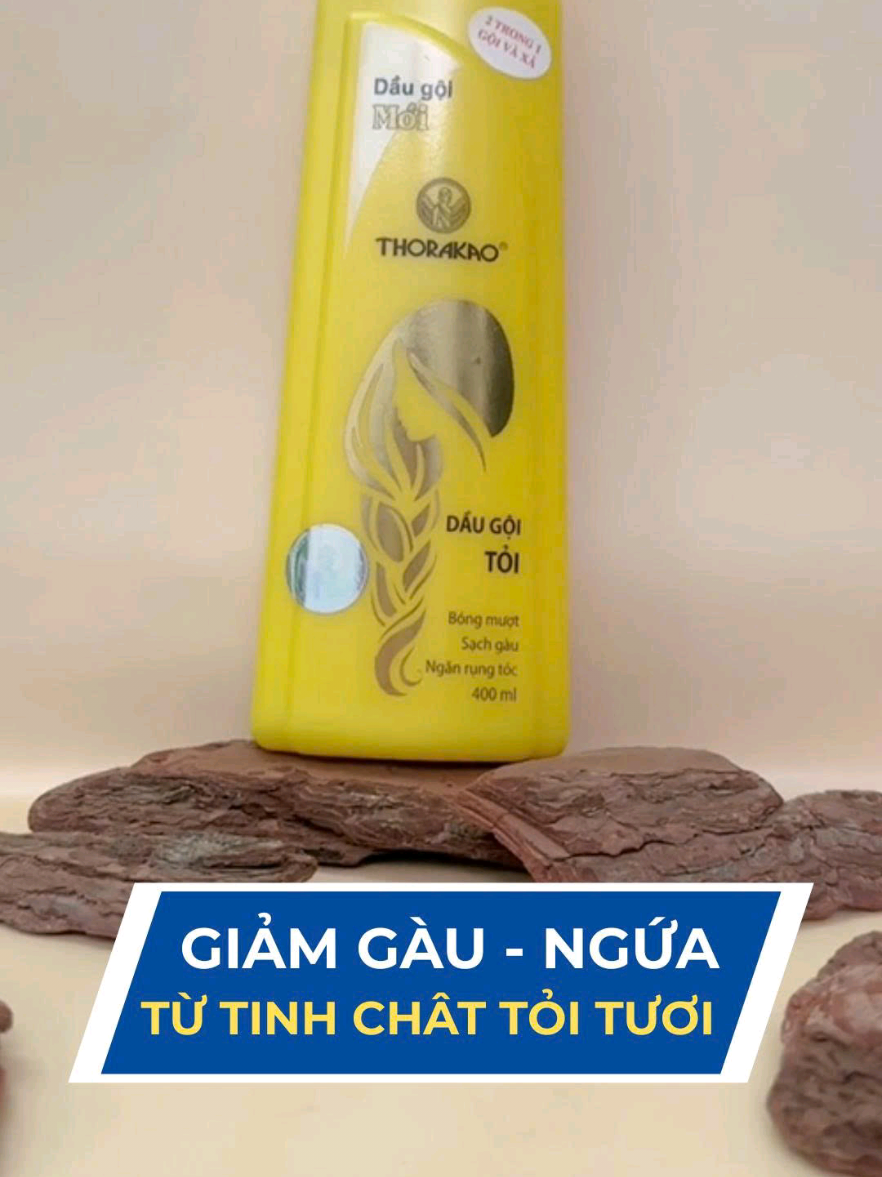 Dầu gội tỏi sạch gàu